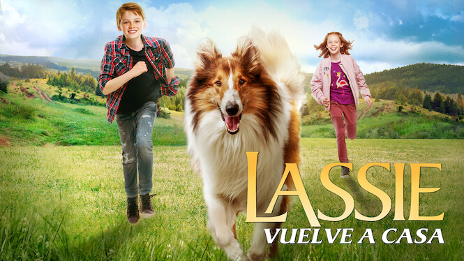 Lassie Vuelve A Casa 2020 Netflix Flixable